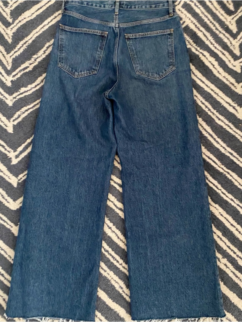 AGOLDE Dame High-Rise Wide Leg Jeans - Picture 8 of 10